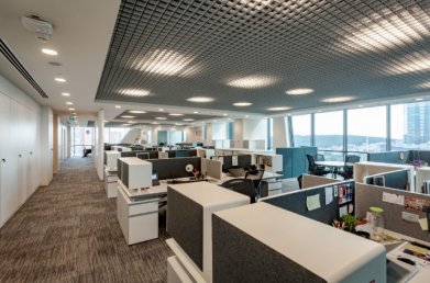 Genel Ofis Alanları